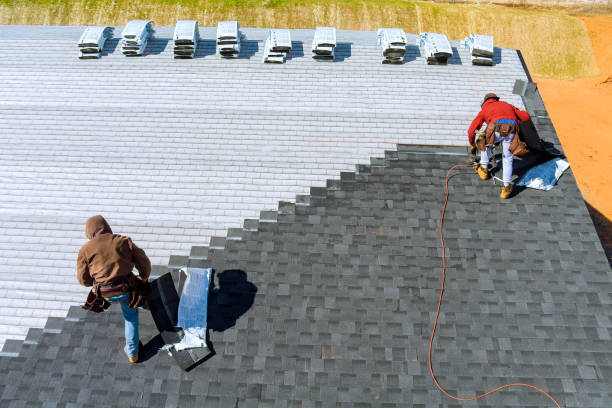 Best Roof Gutter Cleaning  in Cheval, FL