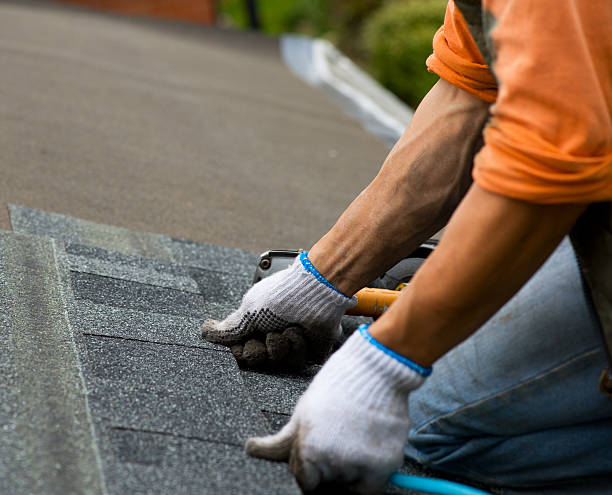 Quick and Trustworthy Emergency Roof Repair Services in Cheval, FL